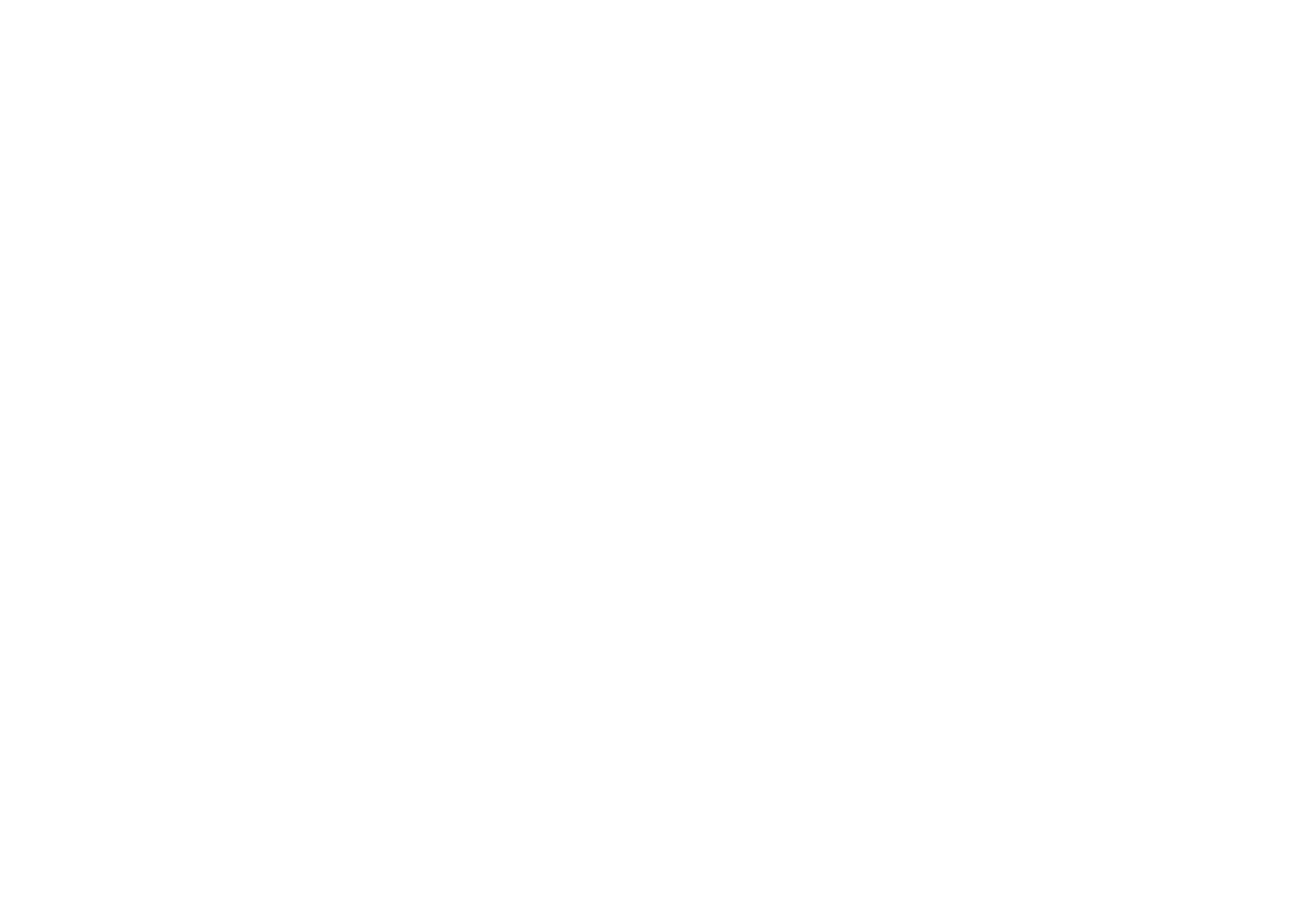 CAS Holding Logo